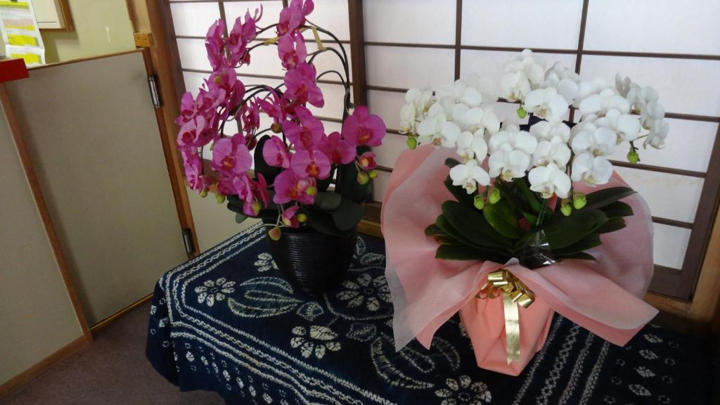 Matsunoi Ryokan Kusacu Exteriér fotografie